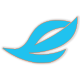 bodyicon